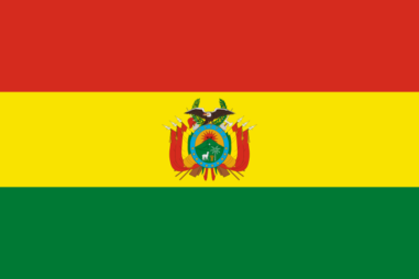 ボリビア多民族国の国旗 - 黄系の国旗一覧｜世界の国サーチ
