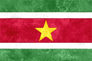 スリナム共和国の国旗イラスト - 油絵風の国旗イラスト一覧｜世界の国サーチ