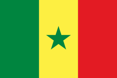 セネガル共和国 の国旗