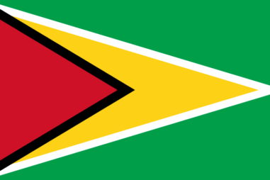 ガイアナ共和国の国旗 - 白系の国旗一覧｜世界の国サーチ