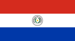 パラグアイ共...の国旗