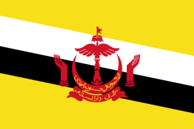 ブルネイ・ダルサラーム国の国旗 - 赤系の国旗一覧｜世界の国サーチ